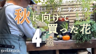 【ガーデニング】おしゃれな庭を目指す秋の購入苗紹介🌱ベランダガーデニング🌷【看護師の暮らし】