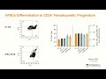 how to optimize your t cell therapy workflow—without the use of serum or feeder cells