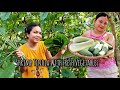 Harvesting Cucumber, Pechay, Spring Onion | Tinolang Hipon With Upo & Leafy Vegetables