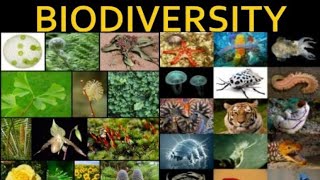 BIO- DIVERSITY