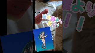 【ねこ動画】猫をモフモフしないで　#shorts  #ネコ動画 　#猫動画　#cat 　#うる星やつら