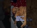 subscribe to win cat cats kitten orangecat subscribe prizes giveaway join funny