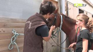 APPRENDRE A  METTRE ET ENLEVER UN FILET A SON CHEVAL