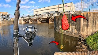 Using Bait From WALMART In Drainage Canal! (NEW PB)