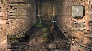 [ＤＤＯＮ]HOの新ダンジョン　戦練の社の紹介です