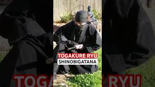 TOGAKURE RYU NINJA SWORD - SHINOBIGATANA 🥷🏻 #Shorts #Ninja #Ninjutsu