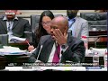 Ad Hoc Committee | I have tried to make peace with Mkhwanazi: Lt-General Sibiya