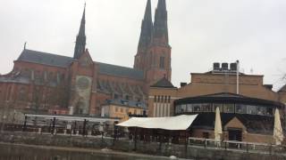 Förstgångsringning i Uppsala Domkyrka