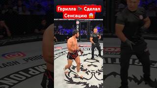 Горилла сделал сенсацию 😱 #kazmma #mma #мма #бой #бои #бокс #ufc #юфс #sports #спорт