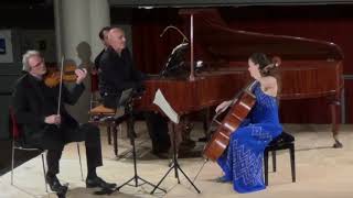 F. Schubert: Piano Trio No. 2 in E-flat major D. 929 (mov. 1, fragment)