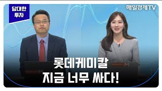 [담대한 투자] 롯데케미칼 지금 너무 싸다! / 차홍선 케미칼에너지투자자문 대표