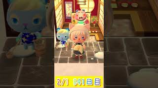 【ポケ森】ベルクッキー841日目 Day841 #shorts #ポケ森コンプリート #acpccomplete #ポケ森 #どうぶつの森 #acpc #animalcrossing