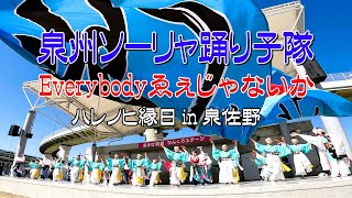 泉州ソーリャ踊り子隊／エブリバディええじゃないか（ハレノヒ縁日）