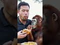 Brother and orangutan eat French fries and burger together