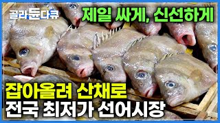 배로 잡아 올리자마자 바로 판매하는 전국 최저가 선어시장│가장 싸고, 신선하게 선어시장의 아침│극한직업│#골라듄다큐