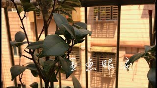 金魚眼淚-老人自殺防治宣導片