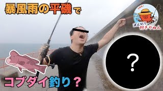 【平磯】土砂降り嵐のコブダイゲーム？【タンコブゲーム】