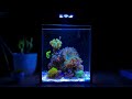 2 Hours of Nano Reef Tank Relaxation [Relaxing Piano Music]