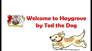 Welcome to Haygrove School by Ted the Dog