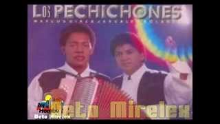 Se fue mi cantante- Los Pechichones (Con Letra) Ay Hombe!!!