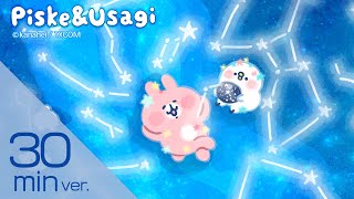 【30分作業用】夏の夜に聞きたい🌟癒しの作業用BGM #カナヘイ #ピスケとうさぎ