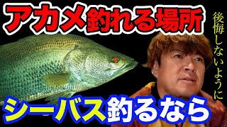 【村岡昌憲】アカメも釣れる場所でシーバス釣るなら...