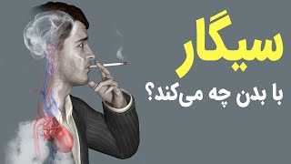 سیگار با بدن چه می کند؟