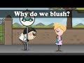 Why do we blush? | #aumsum #kids #science #education #children