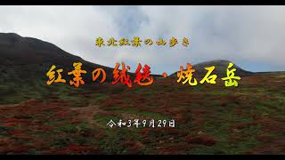 紅葉の絨毯・焼石岳　令和3年9月29日