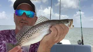 2020 July Grand Isle trout action