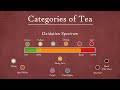 Gong Fu Tea|chA Episode 25 - Categories of Tea: A Map View