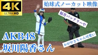 【かがやきちゃん】AKB48 坂川陽香さんによる始球式 ナイスピッチ! 東京ヤクルトスワローズ 中日ドラゴンズ 2023.9/20