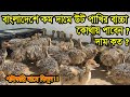 Sajib Hatchery and Mini Park will get baby camels at the lowest price in Bangladesh. MsN Krishi tv