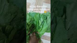 கடுகு கீரை பயன்கள் மற்றும் செய்முறை / Kadugu keerai/  sarson ka sag recipe #health