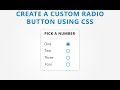 How to Create Custom Radio button using CSS Only