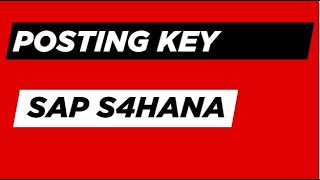 Class 17. Posting key in Hindi (हिंदी में) // For Online Training Call @ +91 74167979215