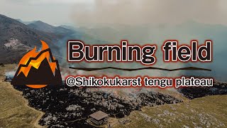 四国カルスト天狗高原の山焼きの様子をドローンで撮影！Take a drone shot of the mountain grilling in Shikoku Karst Tengu Kogen!