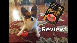 Percy Dog Toy Review: Starmark Bento Ball