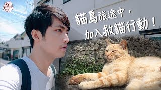 【Vlog】日本貓島輕旅，貓咪多到數不完！Ft.尚潔sanche＃日本福岡＃相島＃貓島