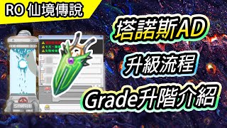 【RO教學# 64】塔諾斯AD 升級流程 \u0026 Grade升階介紹 | 五級武器精煉 | TW Ragnarok 仙境傳說 | Thanos AD Reform