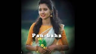 PAN BAHA || Full Video2025 || Shikar \u0026 Padma | Biswajit \u0026 Sarathi Hembram ll new santhali song ll