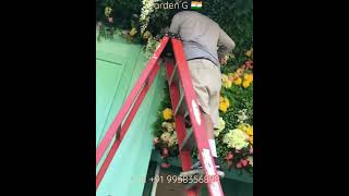 Artificial Ceiling wall Design | Hanging Creeper Design  | Artificial Green Wall Installation