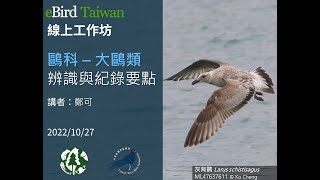 eBird Taiwan線上工作坊 - 鷗科 – 大鷗類辨識與紀錄要點 2022.10.27