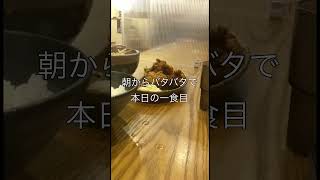 【ウェルビー今池】36才独身の週末サ飯【江戸前味噌ラーメン】