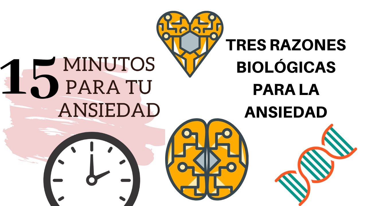 3 Causas De La Ansiedad. (Biologia) - YouTube