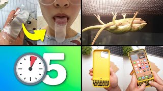 25 Cosas que NO Sabías en 5 minutos!! ⏰😲 [230]