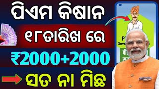 ପିଏମ କିଷାନ ୧୯ତମ କିସ୍ତି ୧୮ ତାରିଖ ମିଳିବା? 🔴Pm Kisan 19th Kisan Release date January-2025