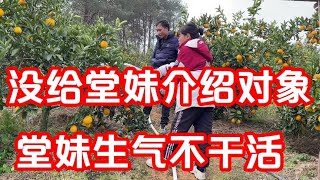 炮哥没帮堂妹介绍对象，结果堂妹生气了不浇水，炮哥这下麻烦了【广西炮哥的生活】