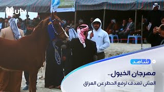 مهرجان للخيول في المثنى يستقطب 70 جوادا وهدفه رفع الحظر على المشاركات الدولية للعراق