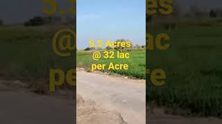 Agricultural land in Haryana.